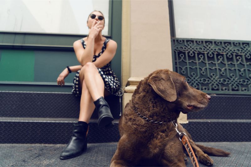 dog next to woman vaping